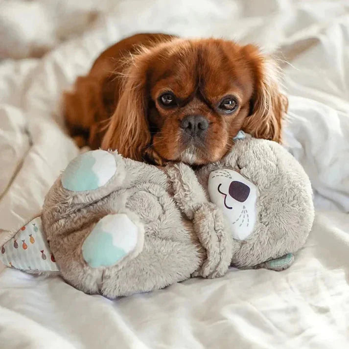 Peluche Nutria Relajante que Respira